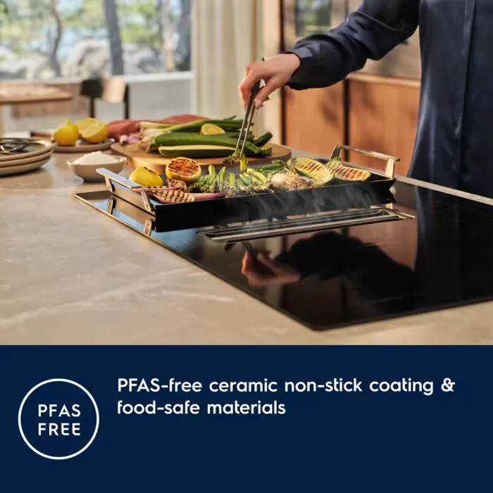GRILL ELECTROLUX E9HHPG11 CAST IRON - 7